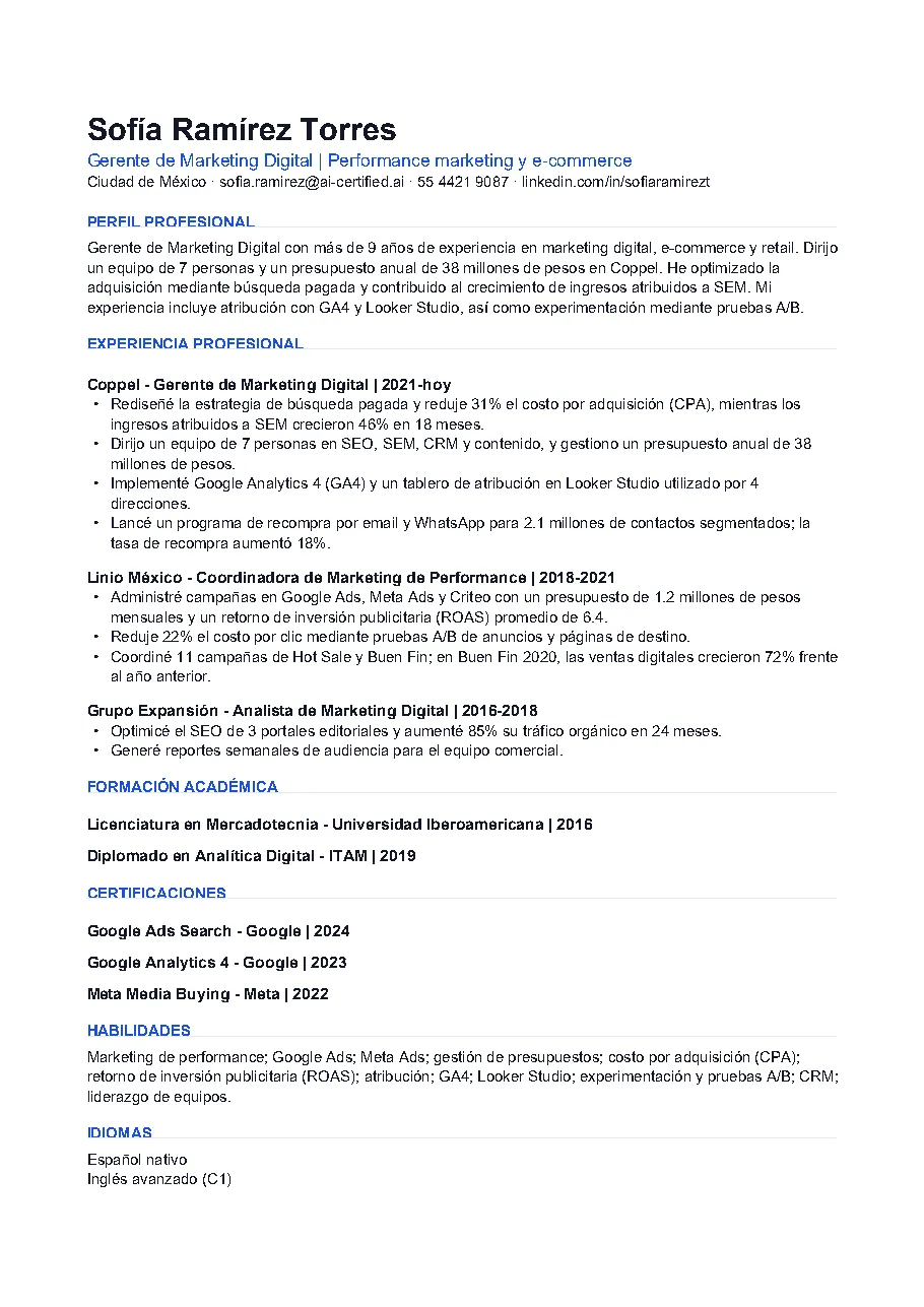 El CV para Mercado Libre, en una página.